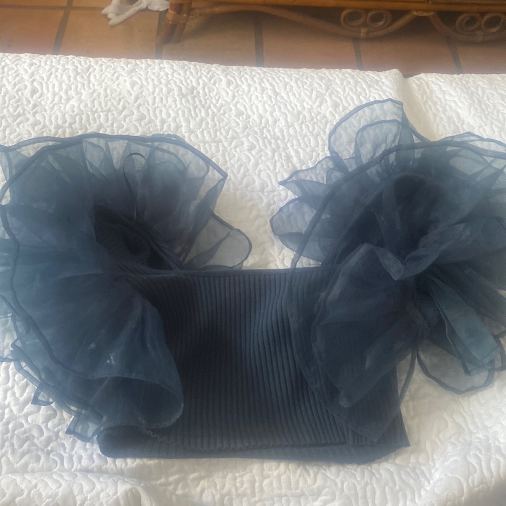 Zara crop top with ruffle feathers